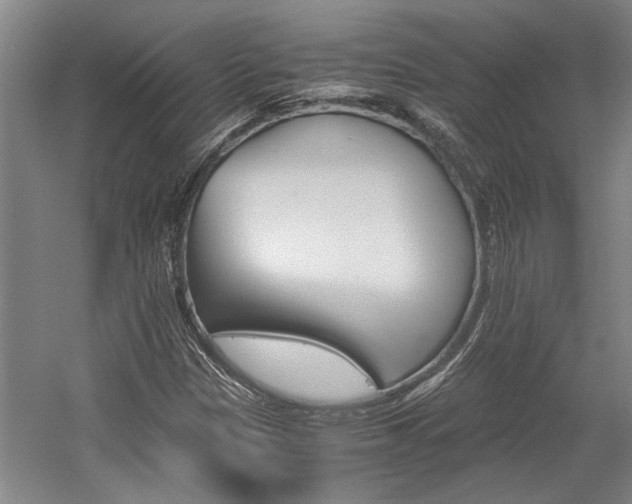 X0000058761305200509300803