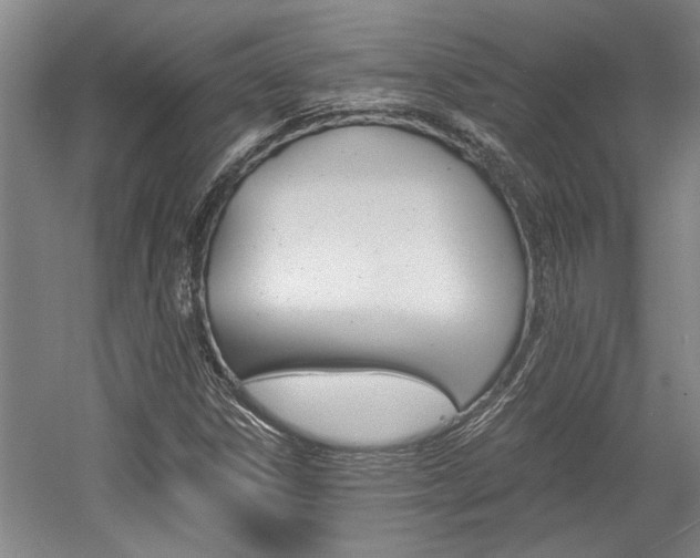 X0000058761306200509300803