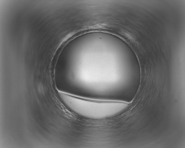 X0000058761308200509300803