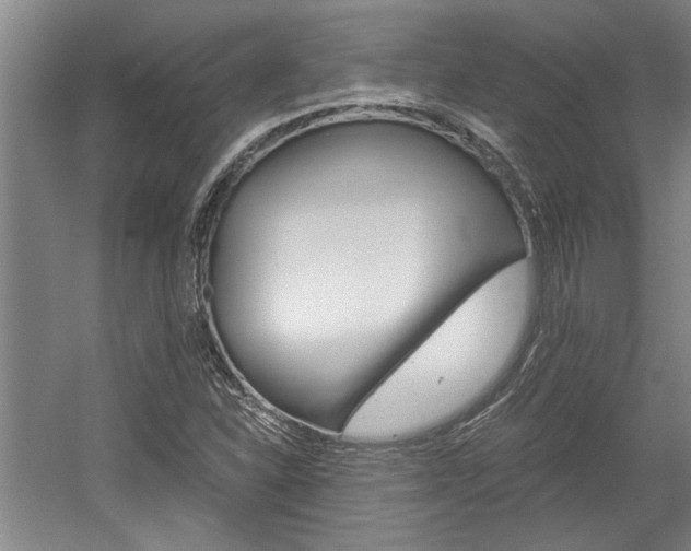 X0000058761310200509300803