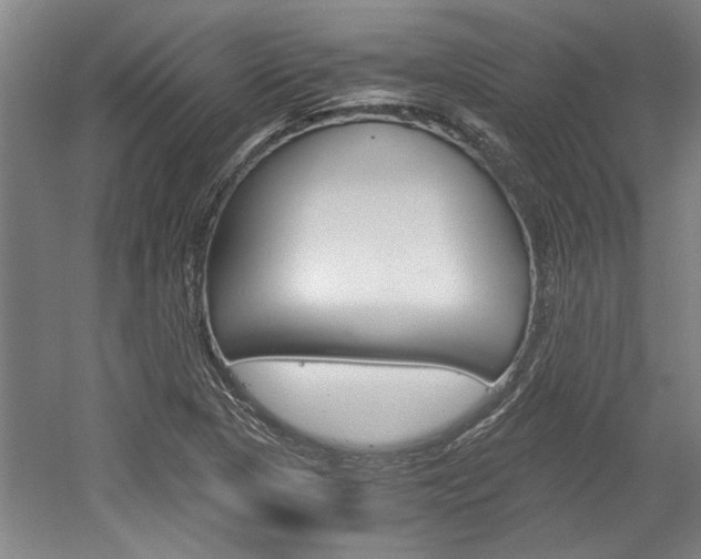 X0000058761313200509300803