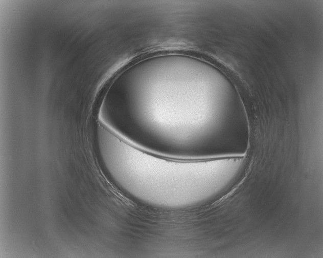 X0000058761317200509300803