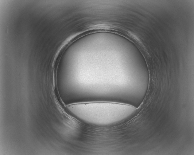 X0000058761323200509300803