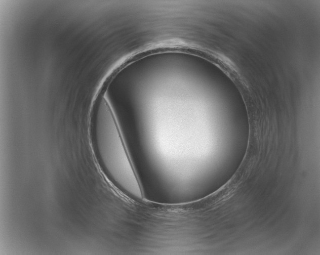 X0000058761326200509300803