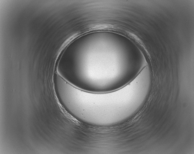 X0000058761330200509300803