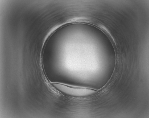 X0000058761336200509300804