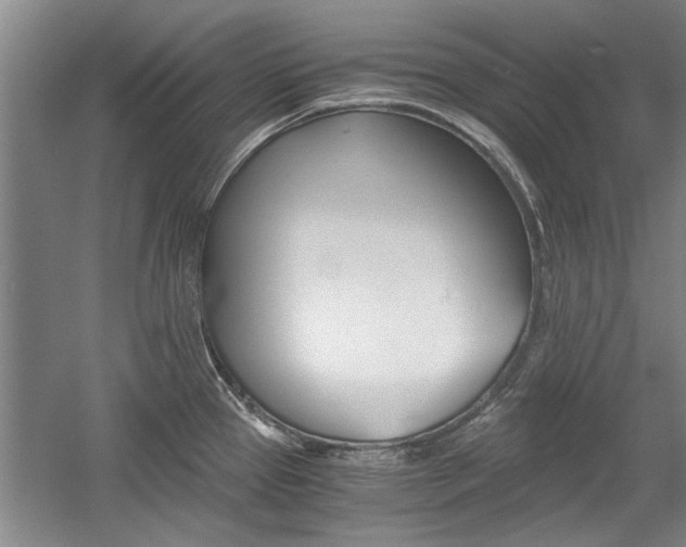 X0000058761337200509300804