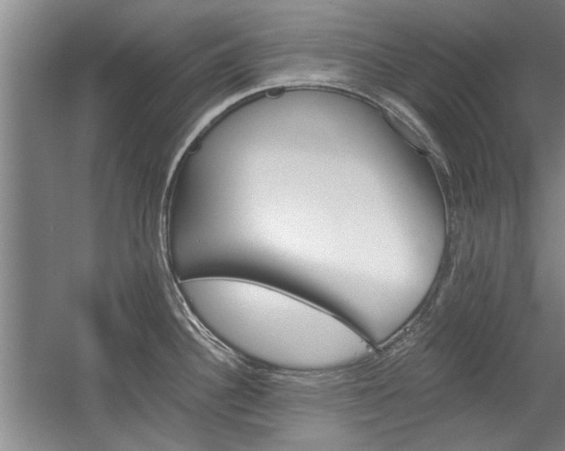 X0000058761340200509300804