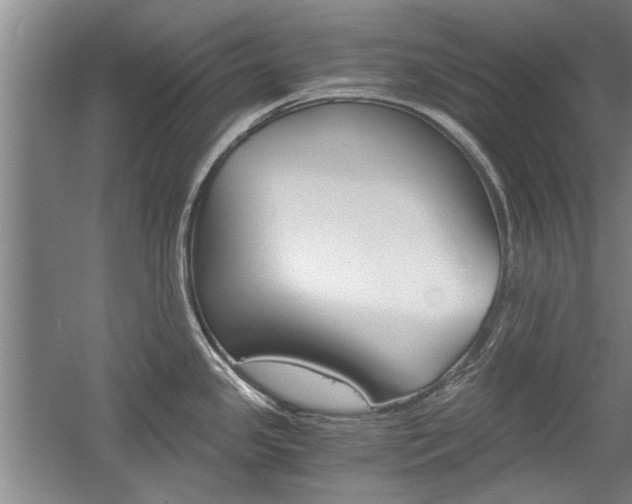 X0000058761341200509300804