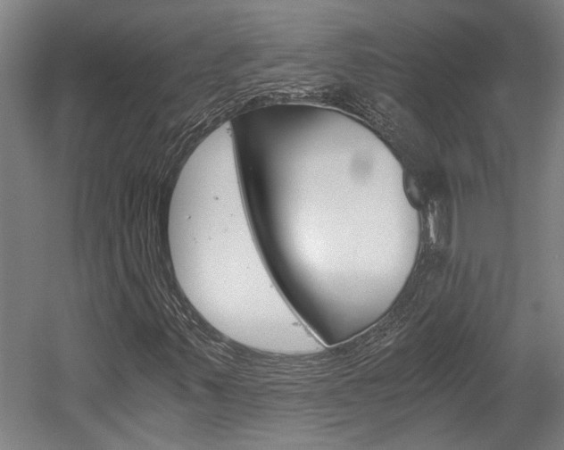 X0000058761347200509300803