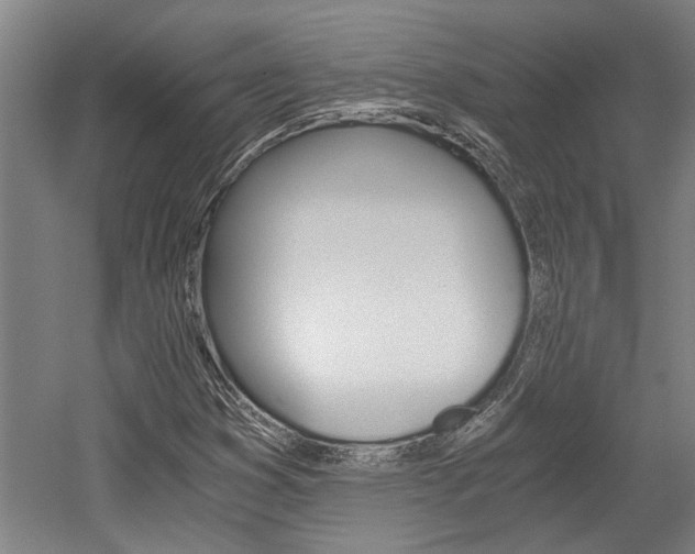 X0000058761353200509300803