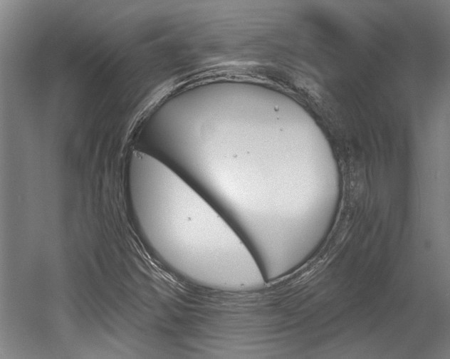 X0000058761354200509300803