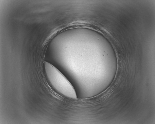 X0000058761355200509300803