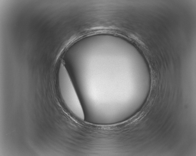 X0000058761357200509300803