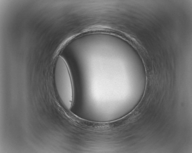 X0000058761363200509300803