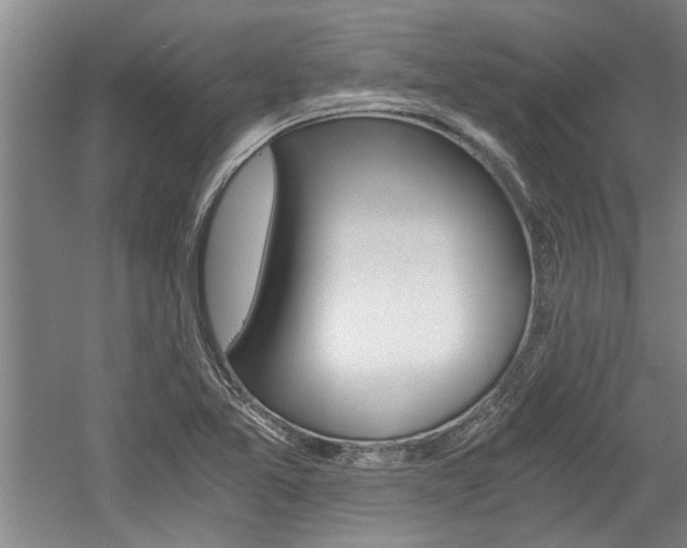 X0000058761365200509300803