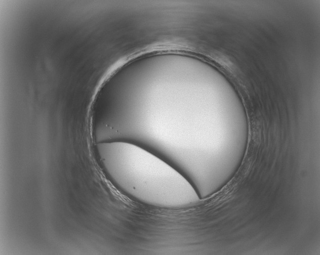 X0000058761366200509300802