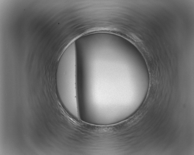 X0000058761369200509300802