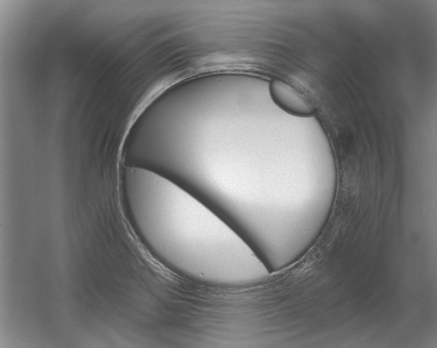 X0000058761370200509300802