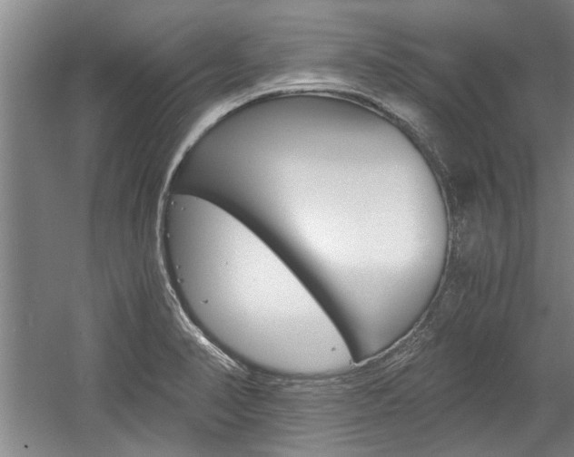 X0000058761374200509300802