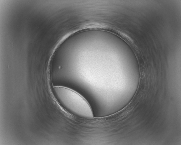 X0000058761375200509300802
