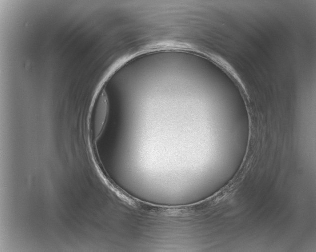 X0000058761381200509300802