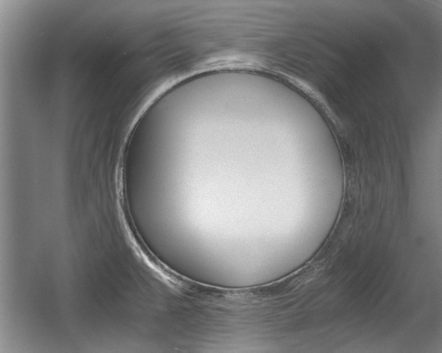 X0000058761383200509300802