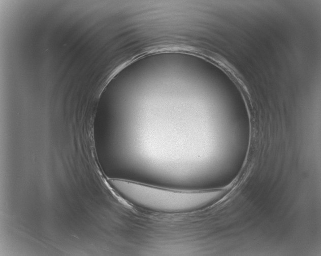 X0000058761385200509300802