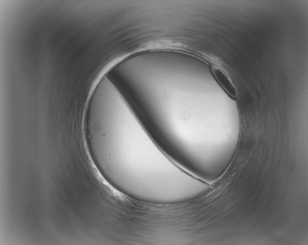X0000058761387200509300802