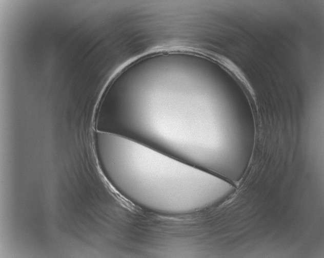 X0000058761388200509300802