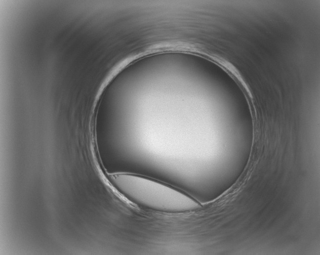 X0000058761389200509300802