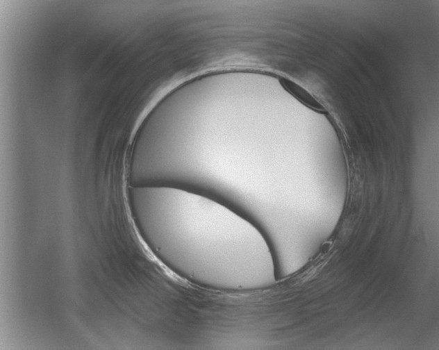 X0000058761390200509300802