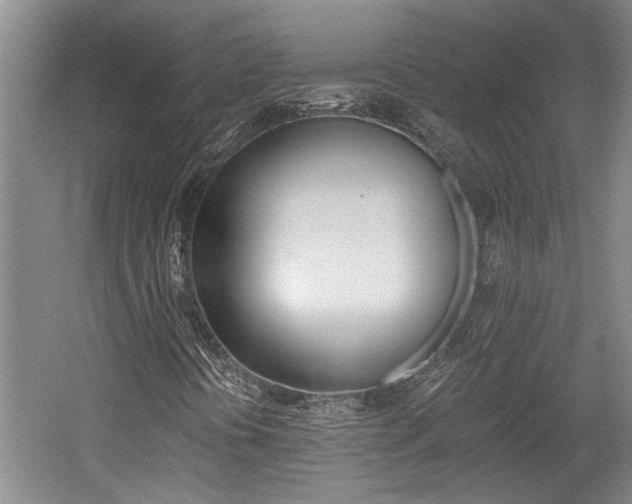 X0000058761394200509300801