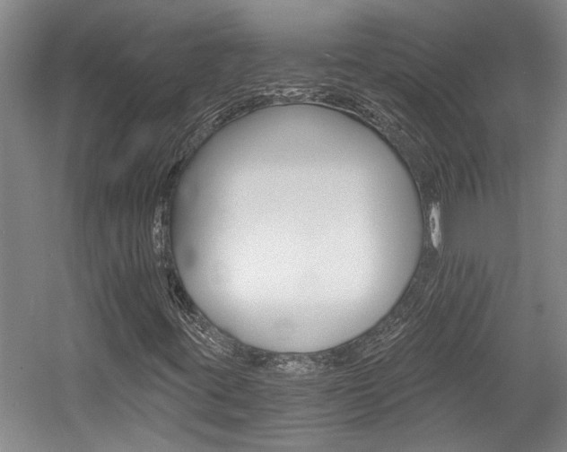 X0000058761395200509300801