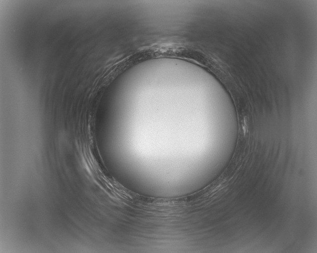 X0000058761396200509300801