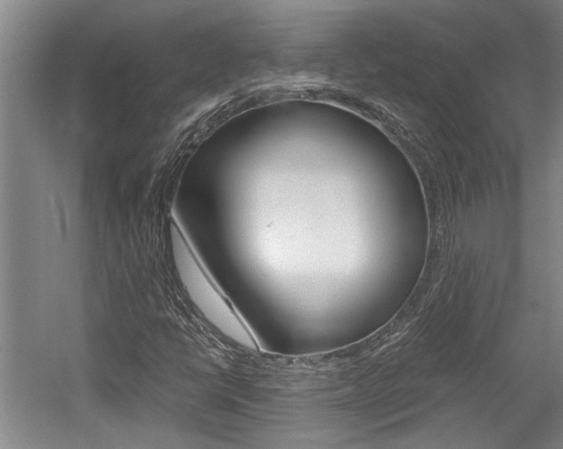 X0000058761398200509300801