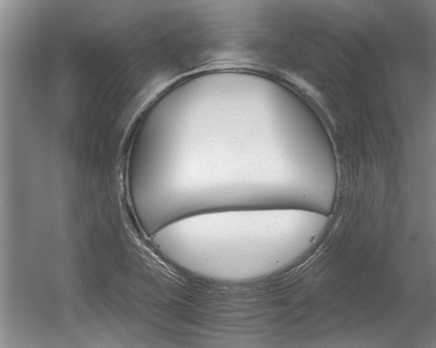 X0000058761415200509300802
