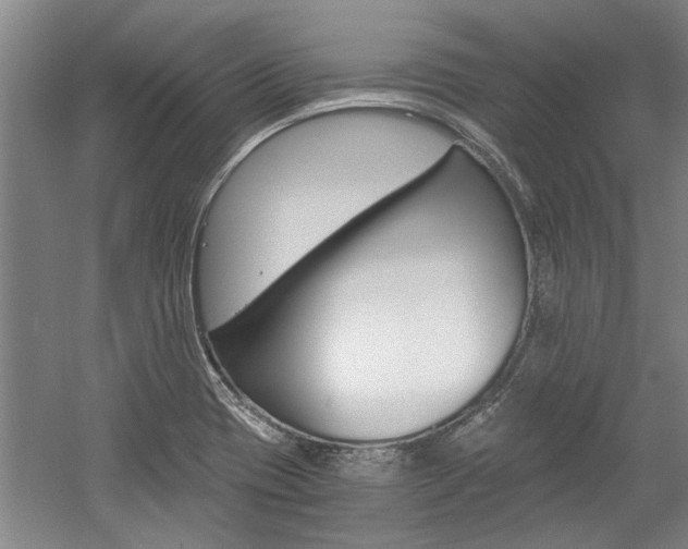 X0000058761417200509300802