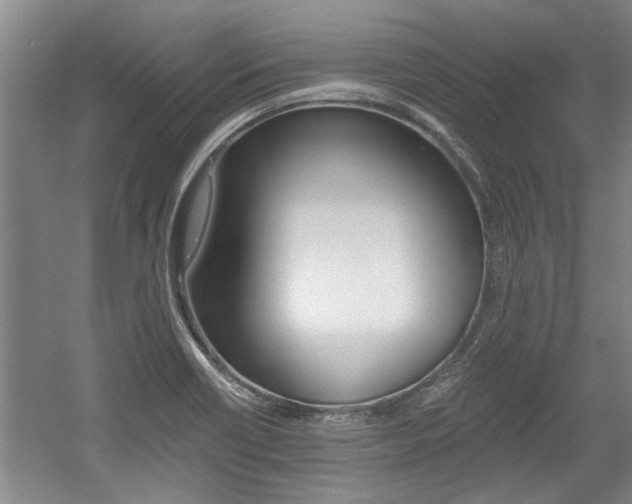 X0000058761418200509300802