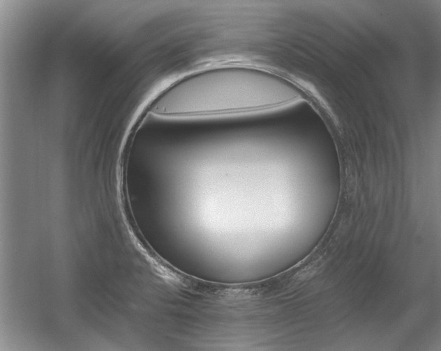 X0000058761424200509300802