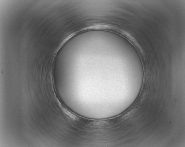 X0000058761425200509300802