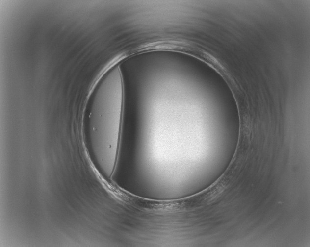 X0000058761426200509300802