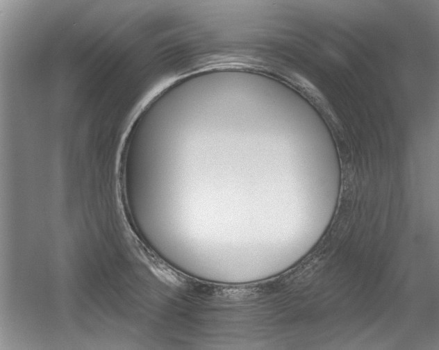 X0000058761427200509300802