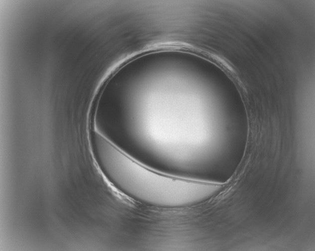 X0000058761430200509300802