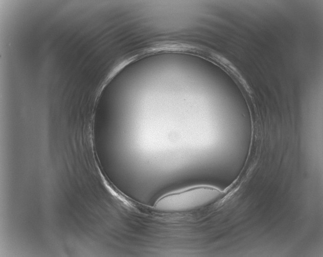 X0000058761433200509300802
