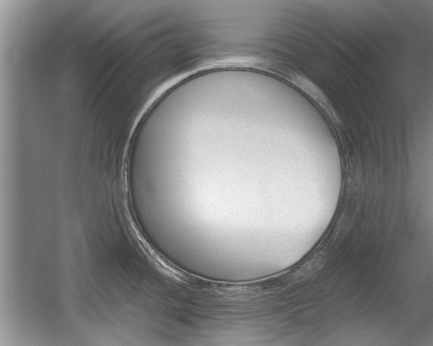 X0000058761436200509300802