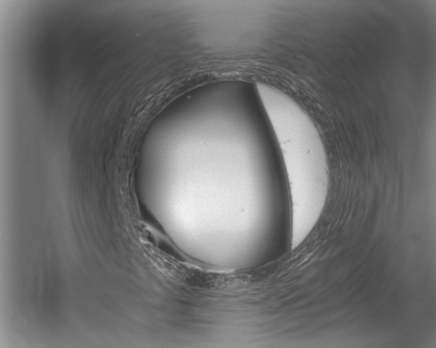 X0000058761441200509300801