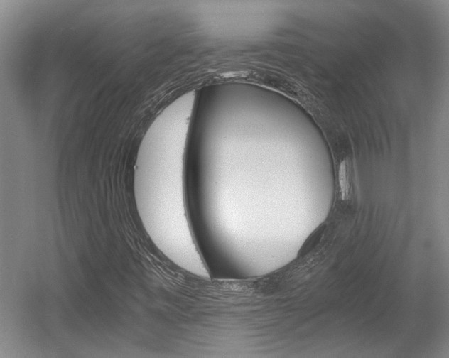 X0000058761443200509300801