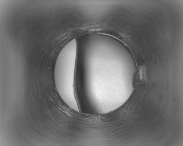 X0000058761444200509300801