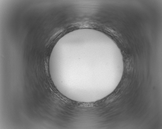 X0000058761446200509300801